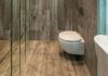 Déboucher toilette