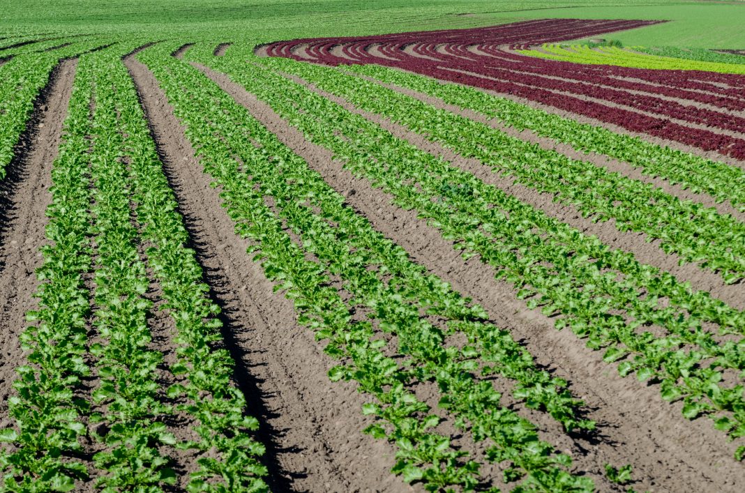 frais de notaire terrain agricole