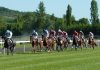 tableau carré de 9 pour gagner au PMU